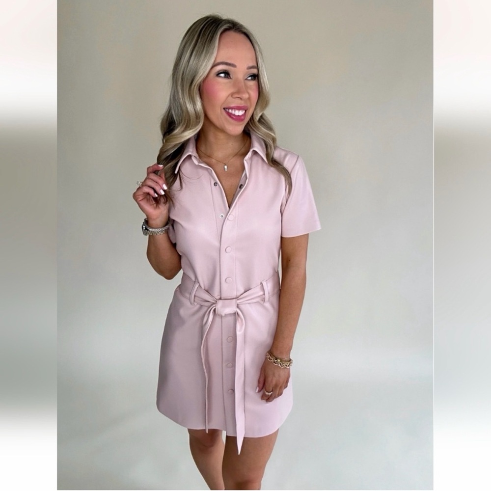 STEVE MADDEN jolene dress in rose taupe